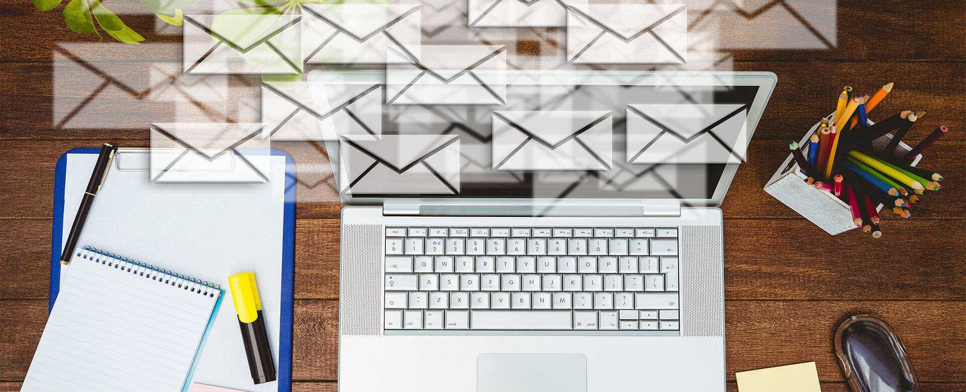 Professional Email